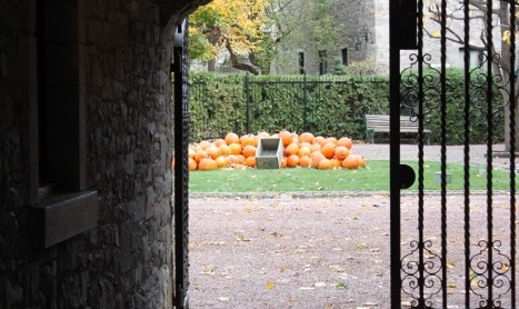 인생무상일까? 호박과 바니타스 페인팅 vanitas painting and pumpkin pie