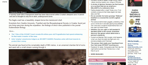 희귀 투명 달팽이 발견 : 크로아티아에서 발견된 신종 생물
